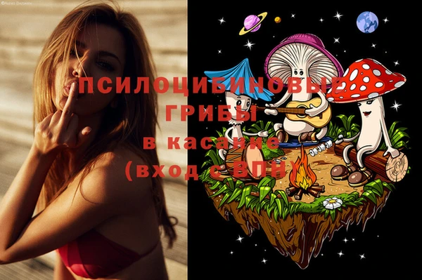 спиды Осинники