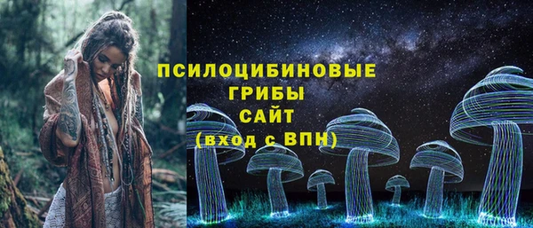 спиды Осинники