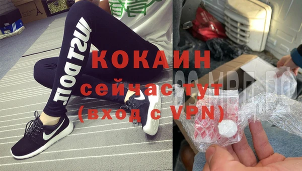 индика Переславль-Залесский