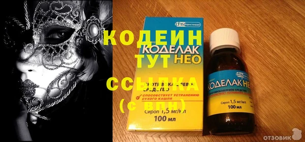 индика Переславль-Залесский