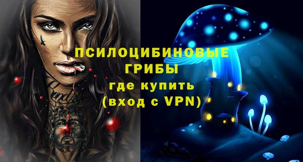 mdpv Пересвет